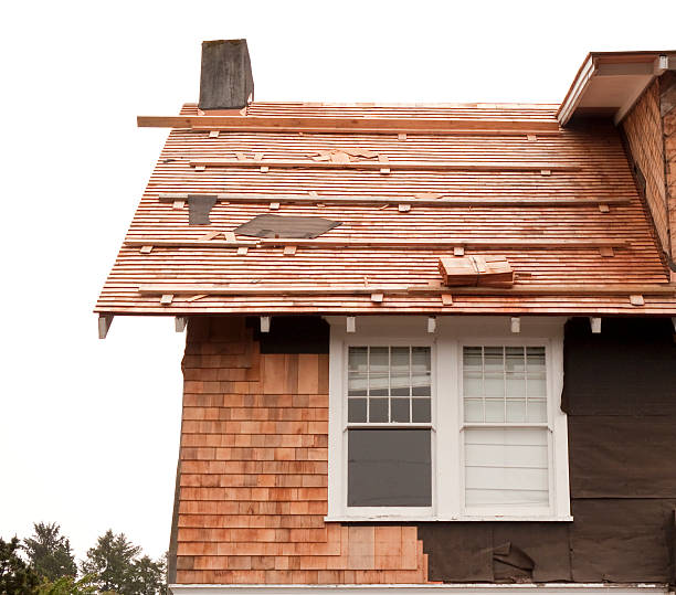 Best Historical Building Siding Restoration  in Auxvasse, MO